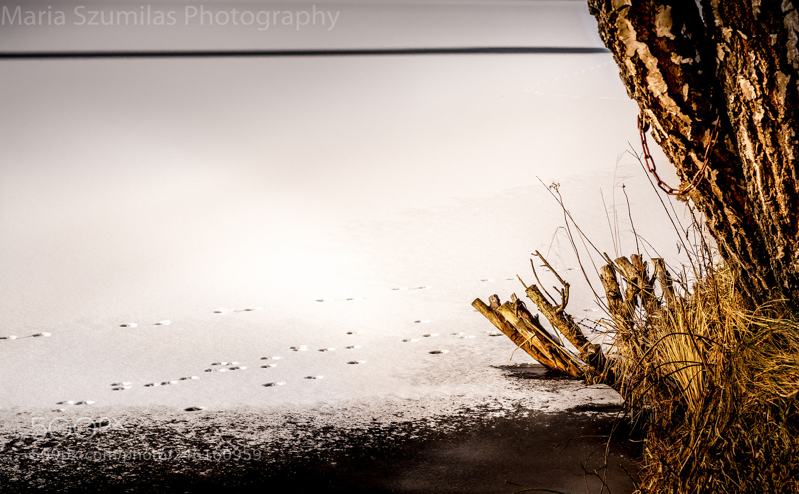 Nikon D7100 sample photo. The unchained soul photography