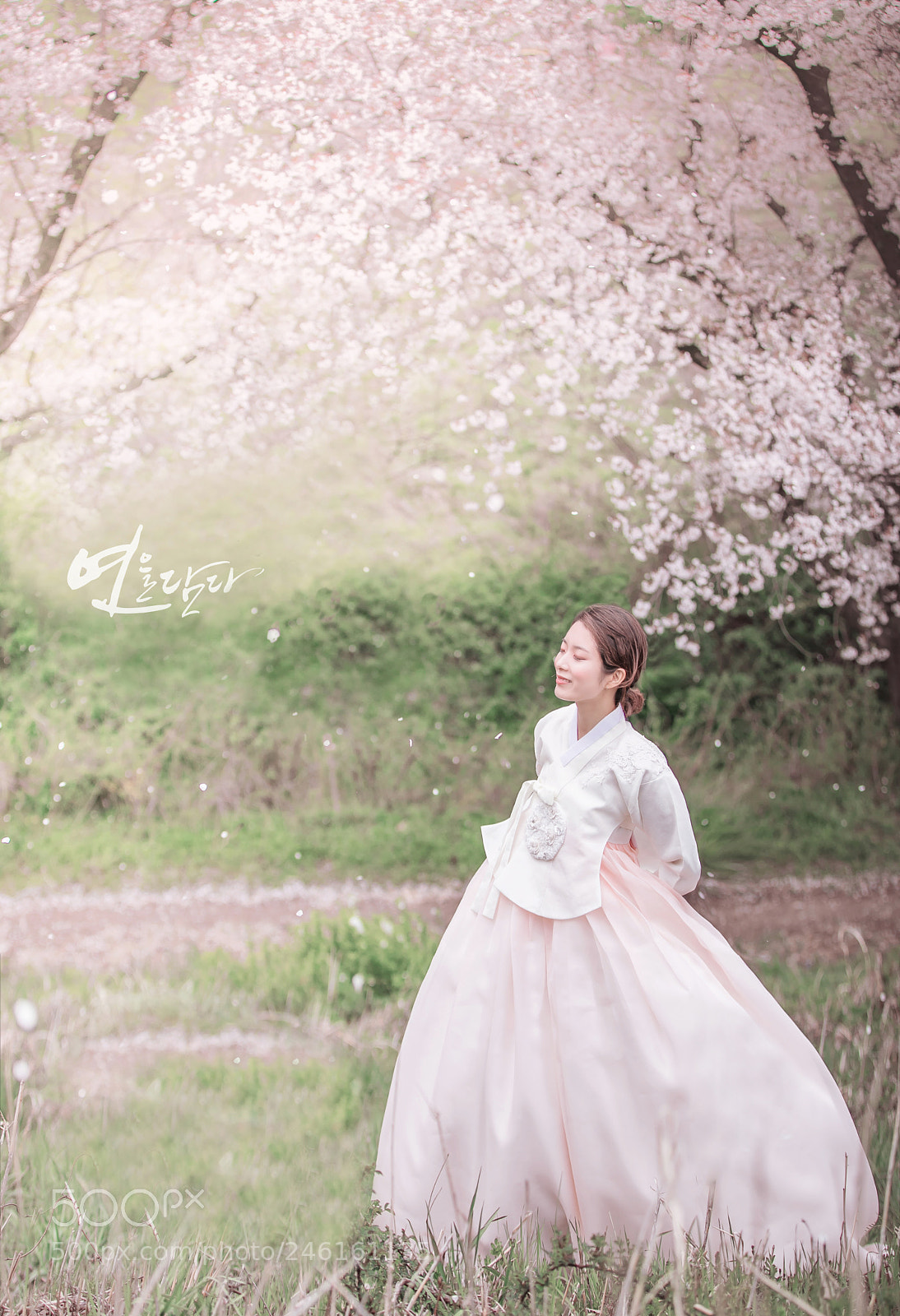 Canon EOS 5DS R sample photo. 벚꽃화보 photography