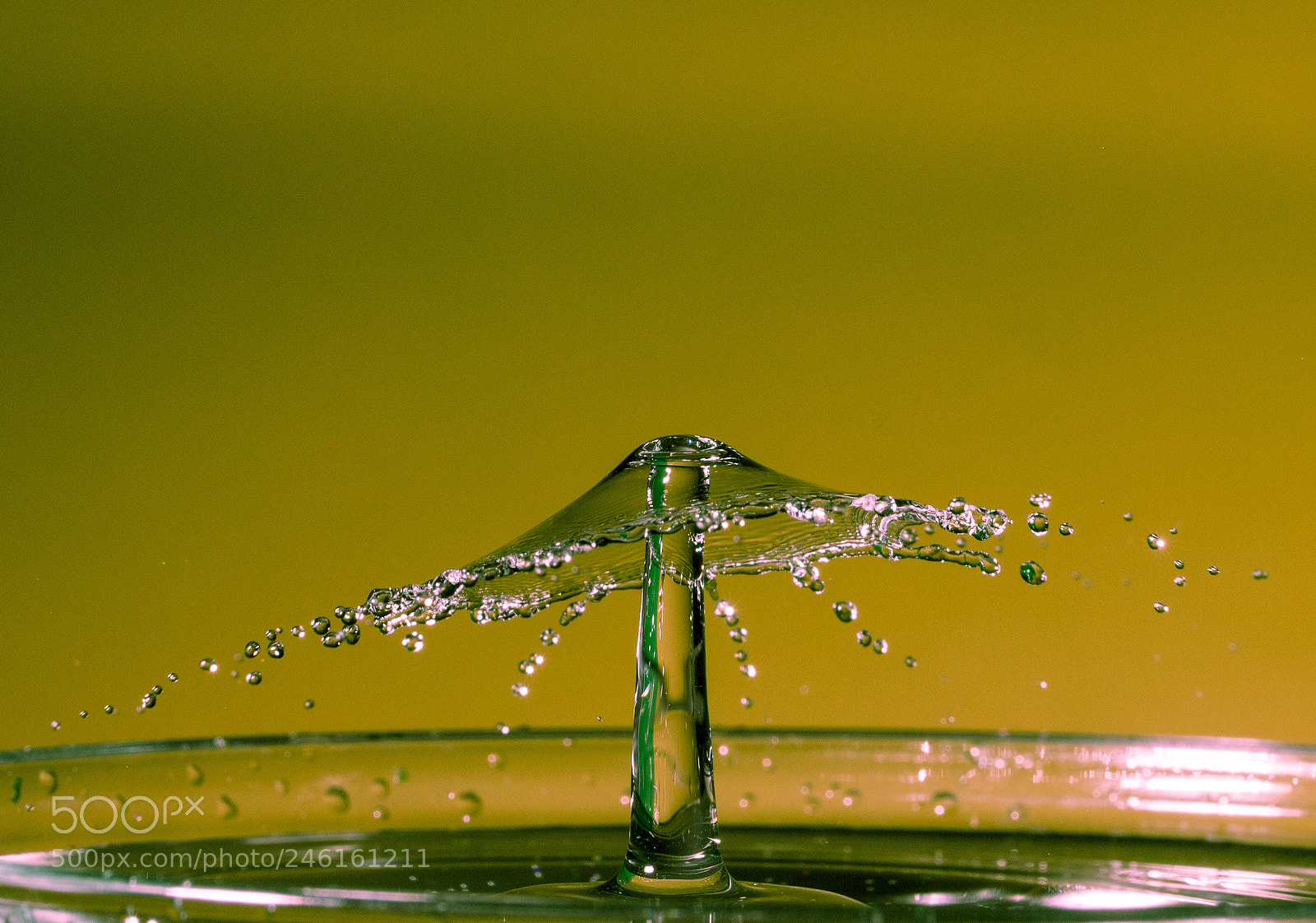 Canon EOS 6D Mark II sample photo. Umbrella photography