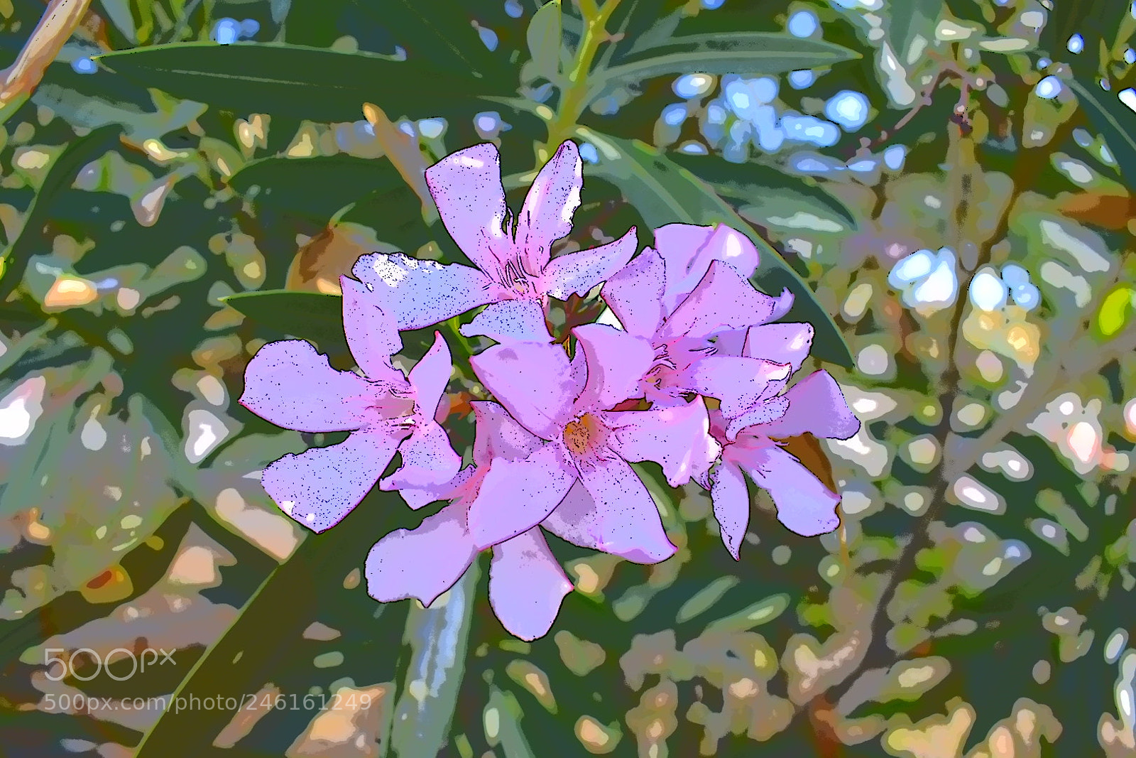 Nikon D3400 sample photo. Flower art photography