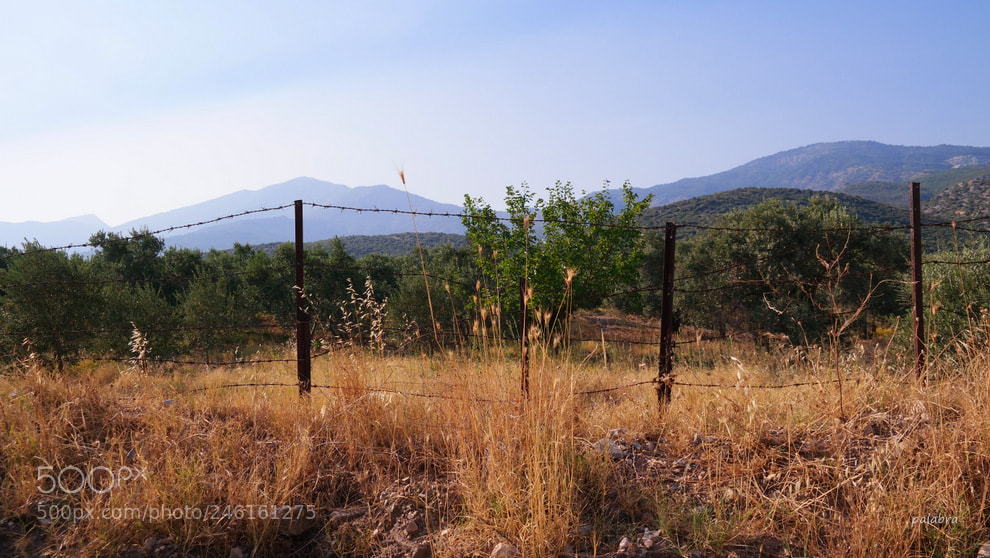 Samsung NX30 sample photo. ... photography