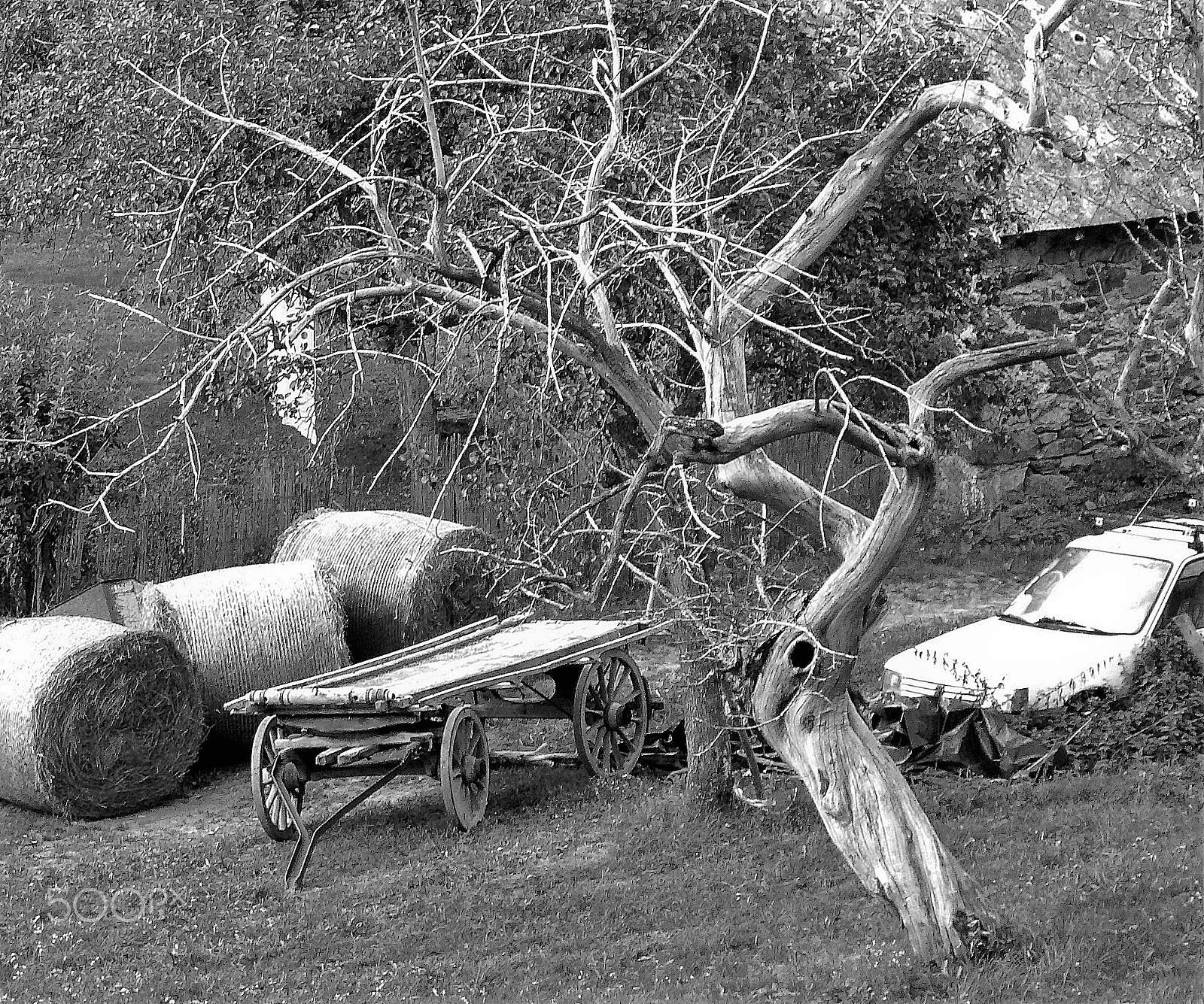 Panasonic DMC-LX2 sample photo. The ultimate  farm ( victor schonbrotz) photography