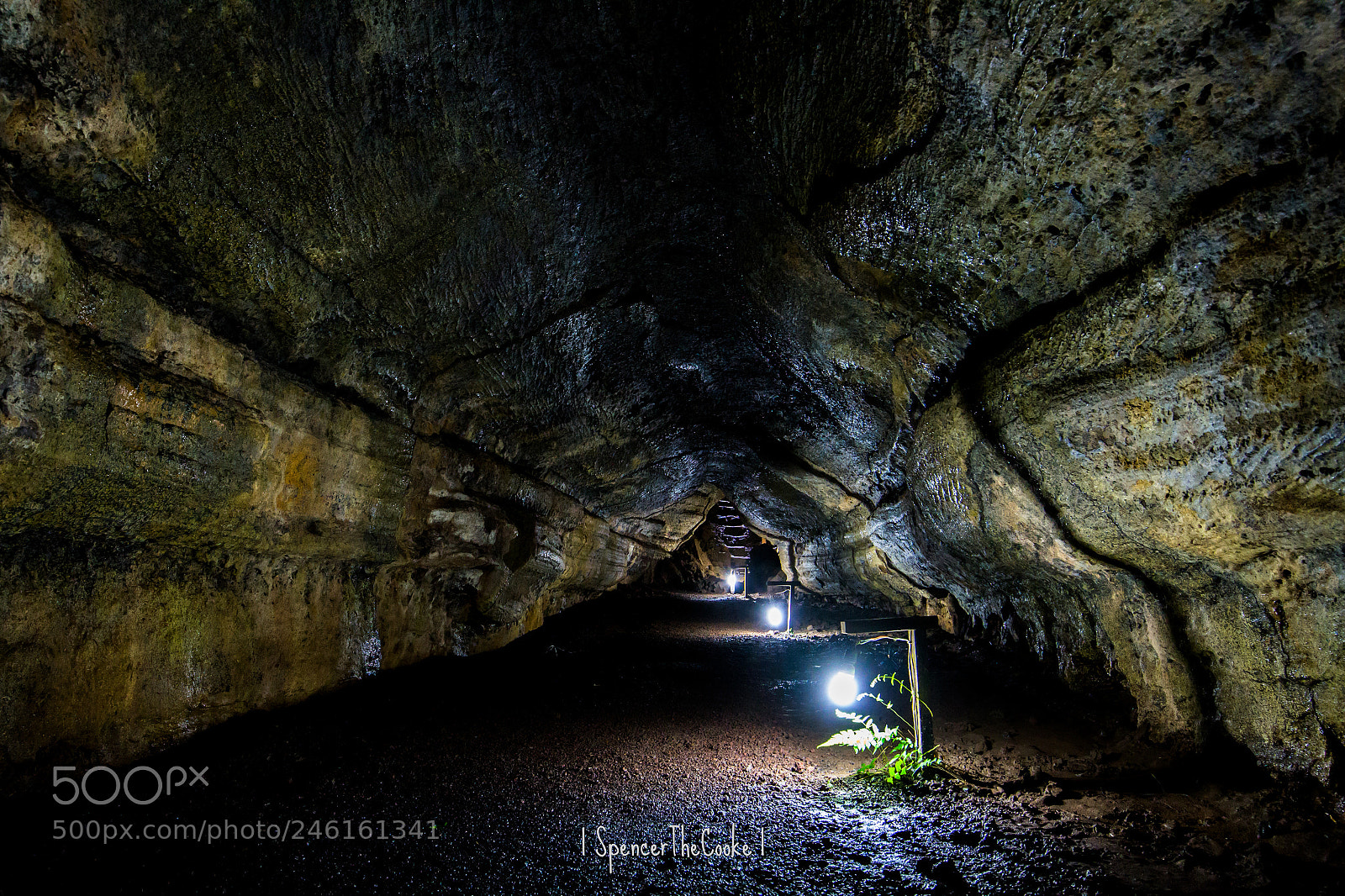 Canon EOS 7D sample photo. Beneath the surface photography