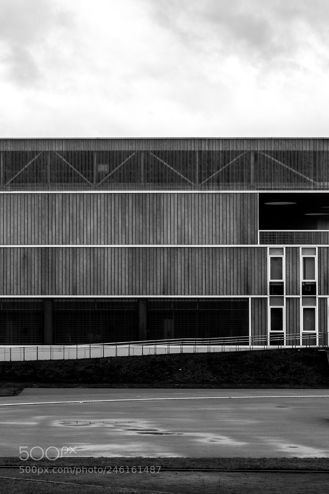 Nikon D610 sample photo. Lines photography