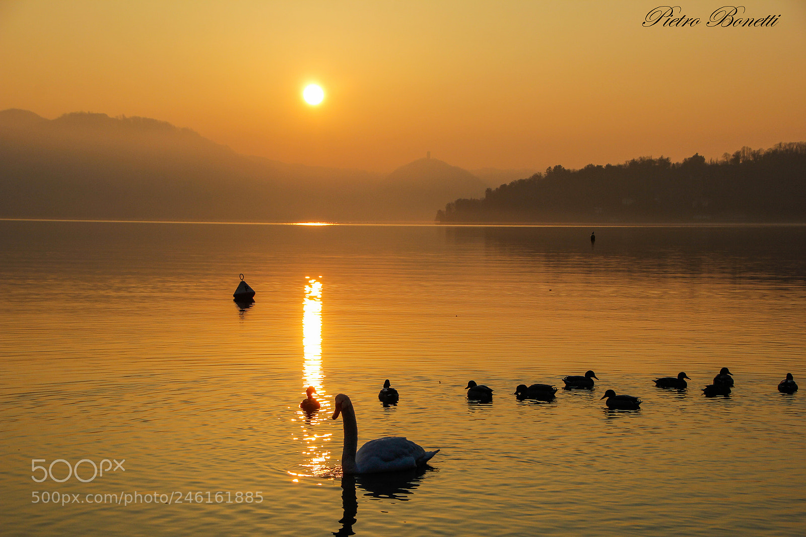 Canon EOS 60D sample photo. Tutto insieme photography