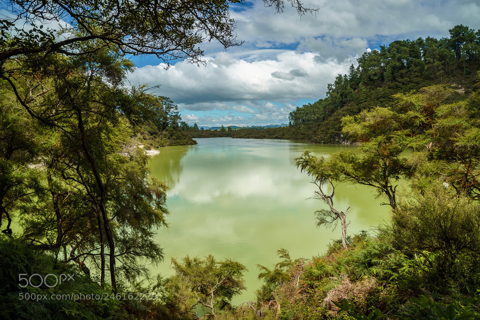 Sony a9 sample photo. Green lake photography