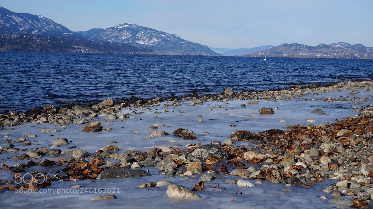 Sony Alpha NEX-3N sample photo. The lake photography