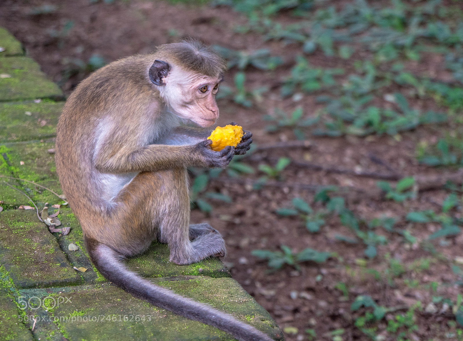 Sony a6500 sample photo. Untitled photography