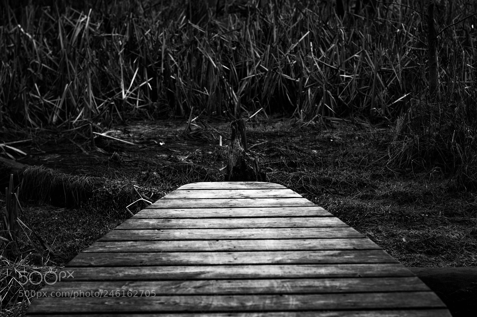 Canon EOS 60D sample photo. Dead end photography
