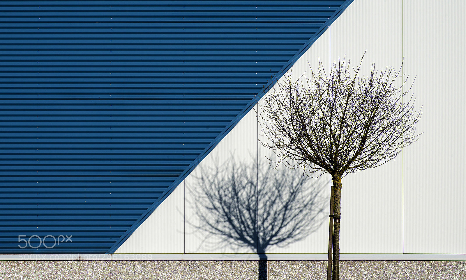 Nikon D800 sample photo. Lines and shadow photography