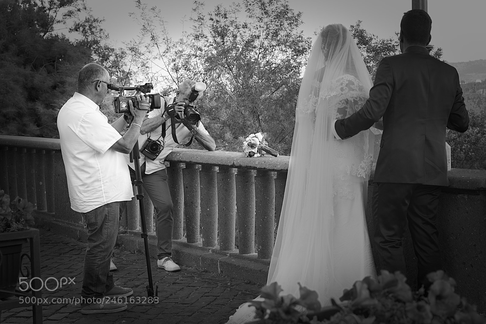Nikon D600 sample photo. Photographers photography