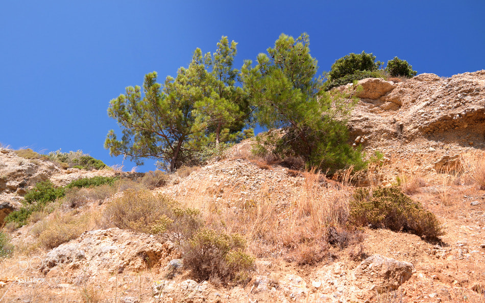 Samsung NX30 sample photo. ... photography