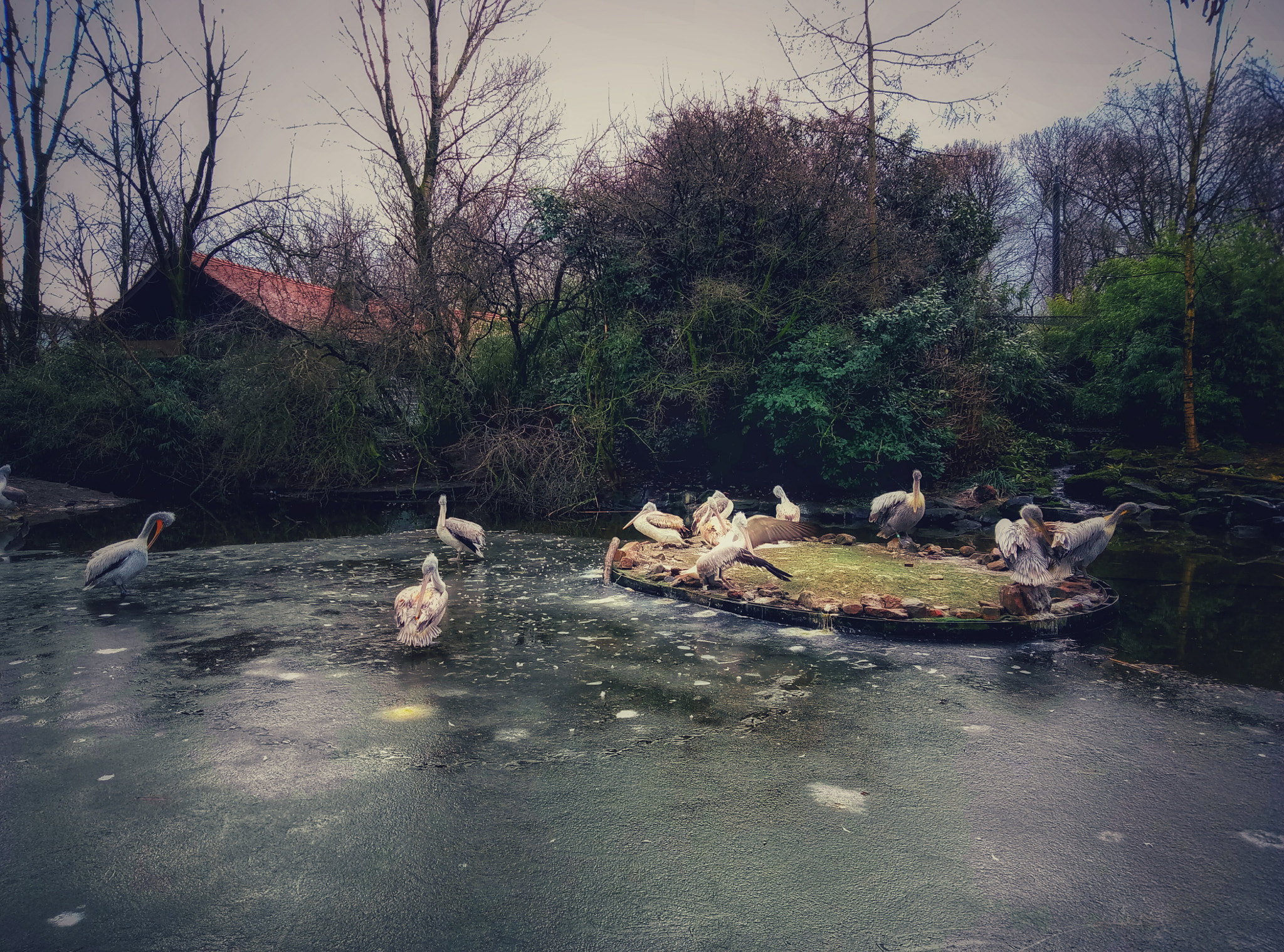 Meizu m3 note sample photo