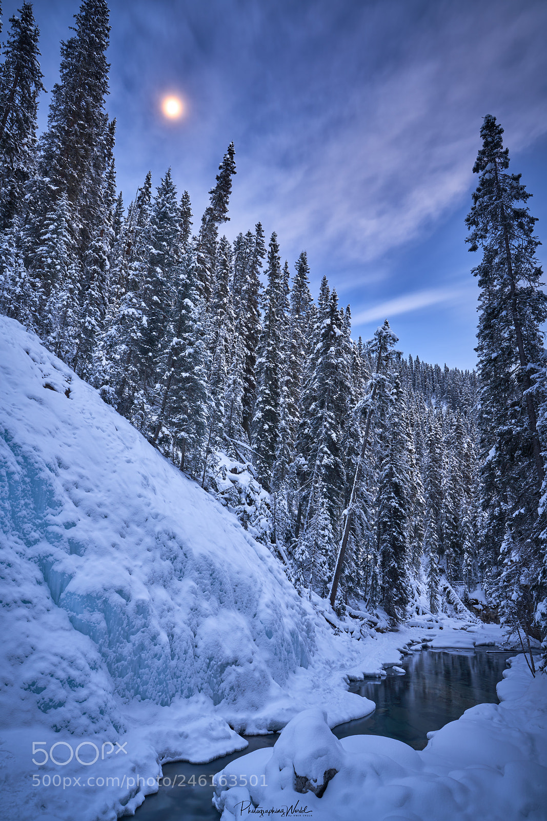 Sony a7R III sample photo. The winterland johnston canyon photography