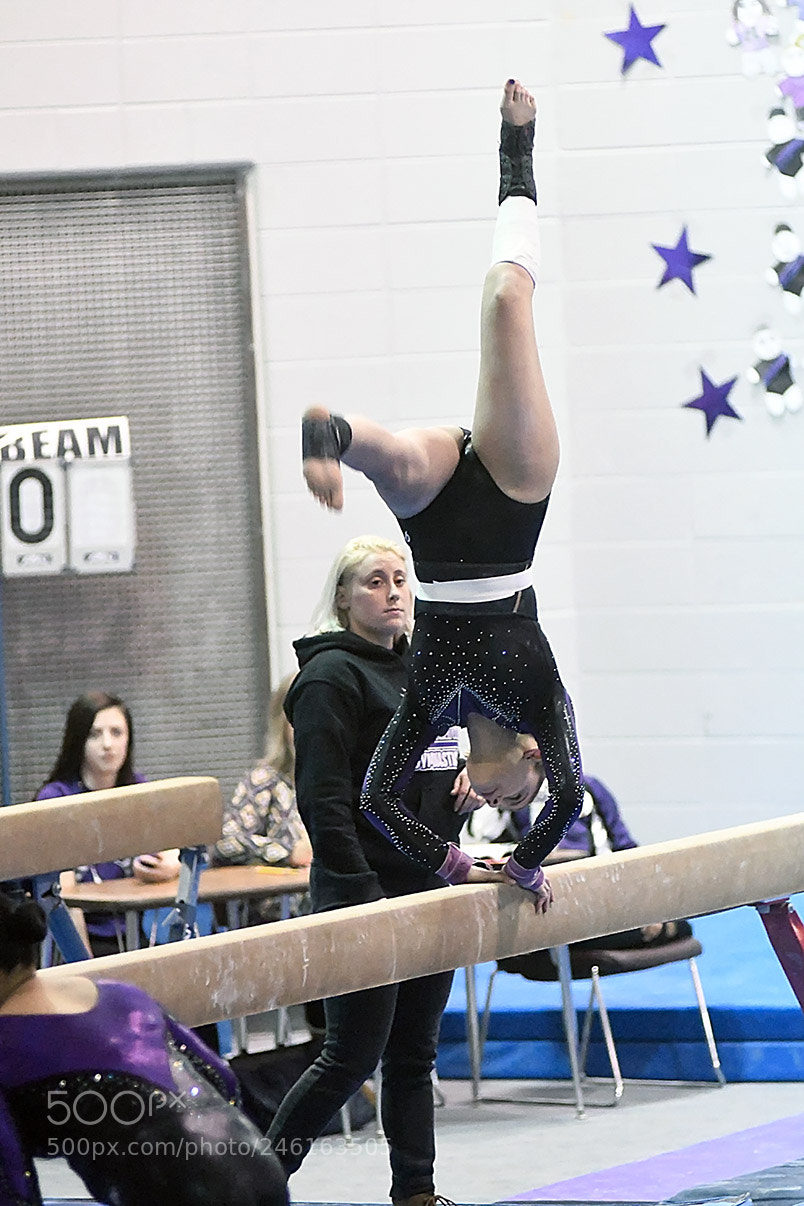 Nikon D500 sample photo. 2-8_0250.jpg photography
