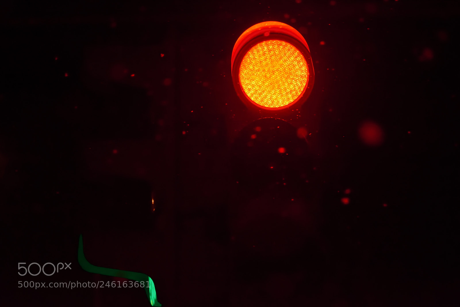 Nikon D7200 sample photo. In the rays of photography