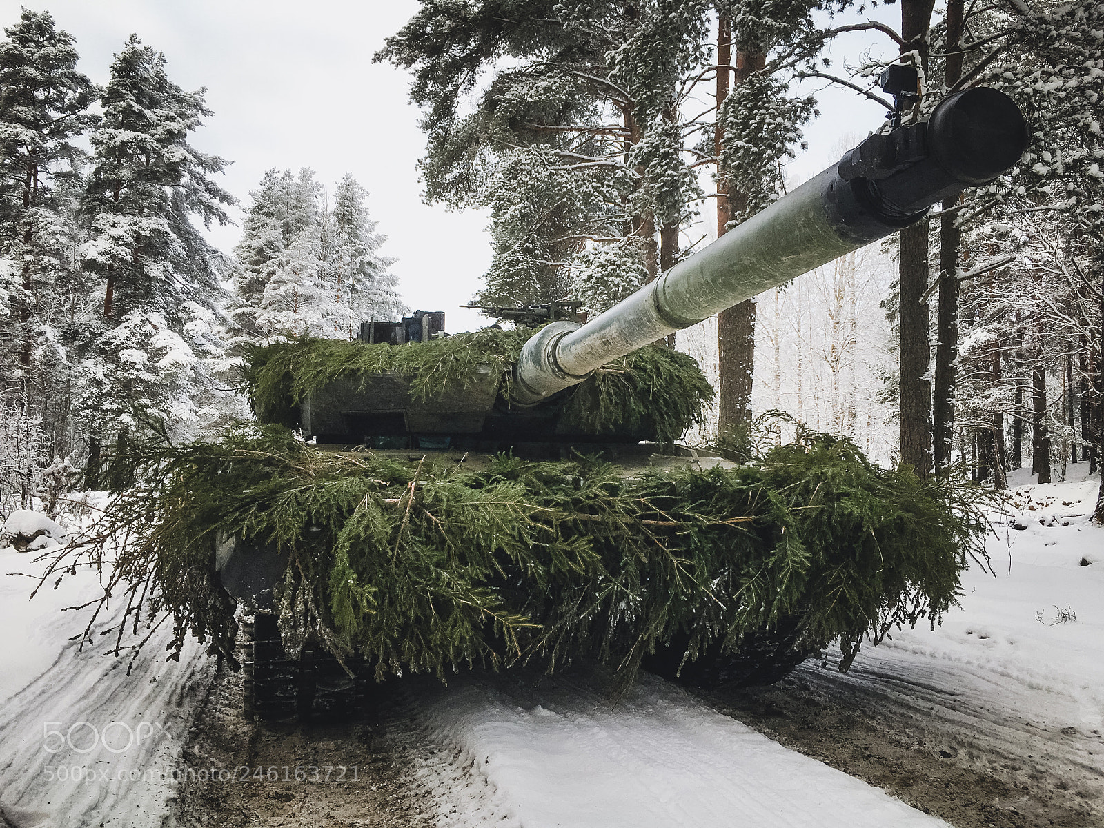 Apple iPhone SE sample photo. Leopard 2a6 photography