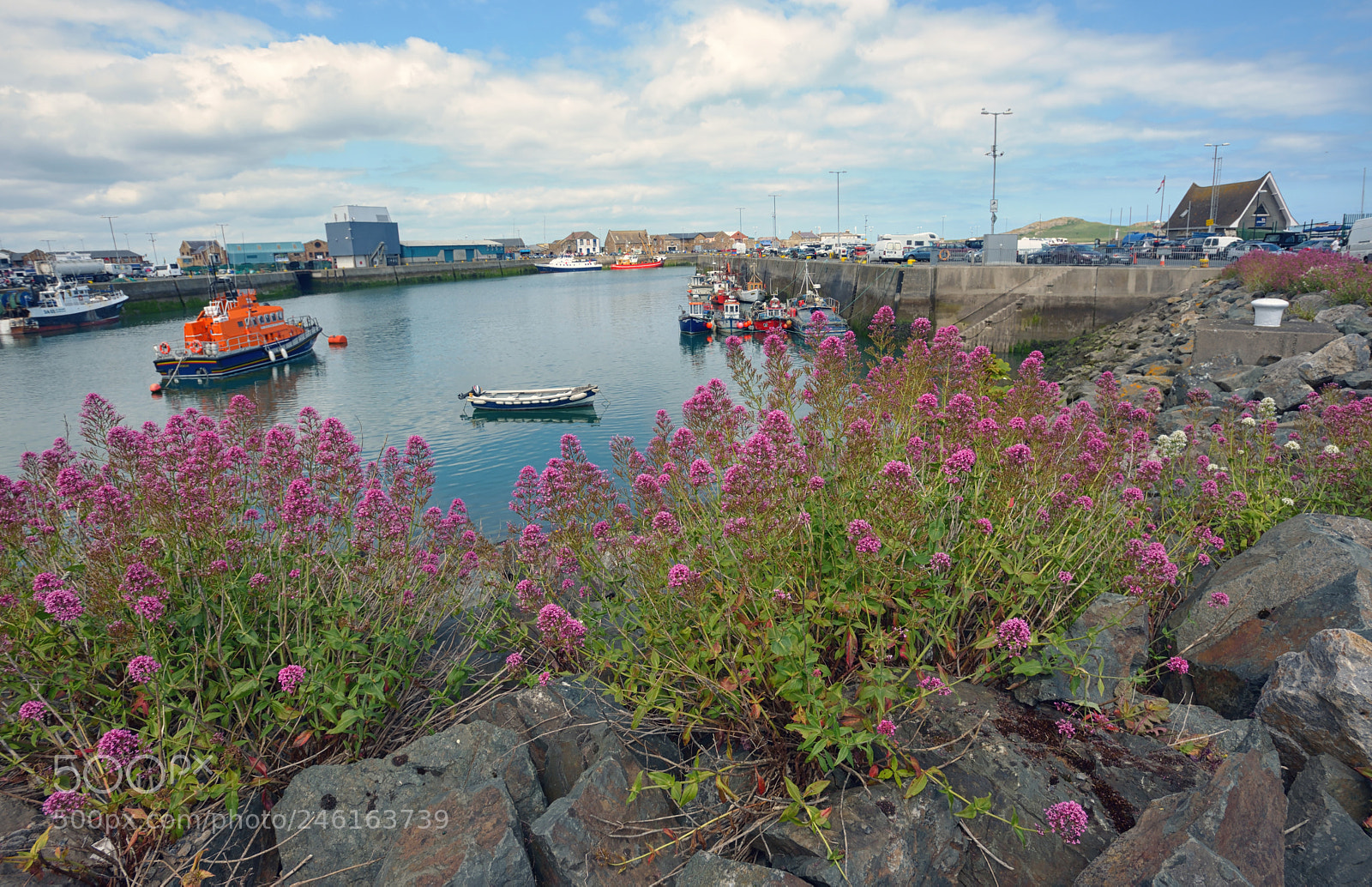 Nikon D610 sample photo. Howth harbor in ireland photography