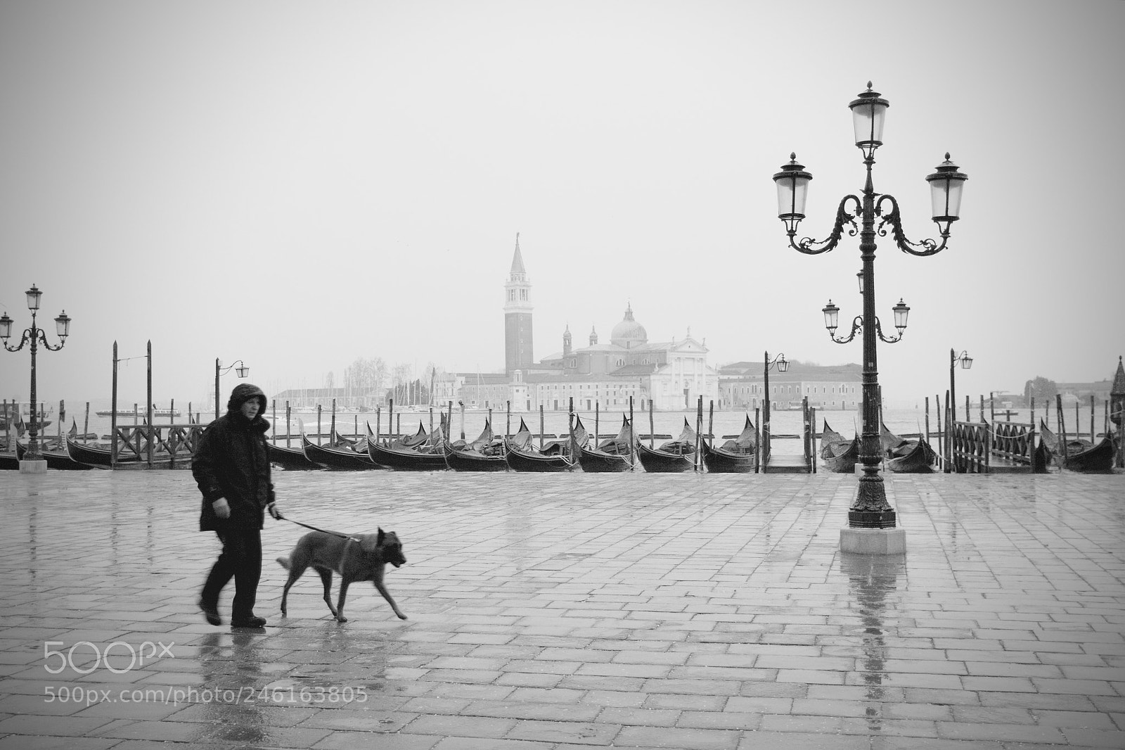 Canon EOS 60D sample photo. Rainy morning in venice photography