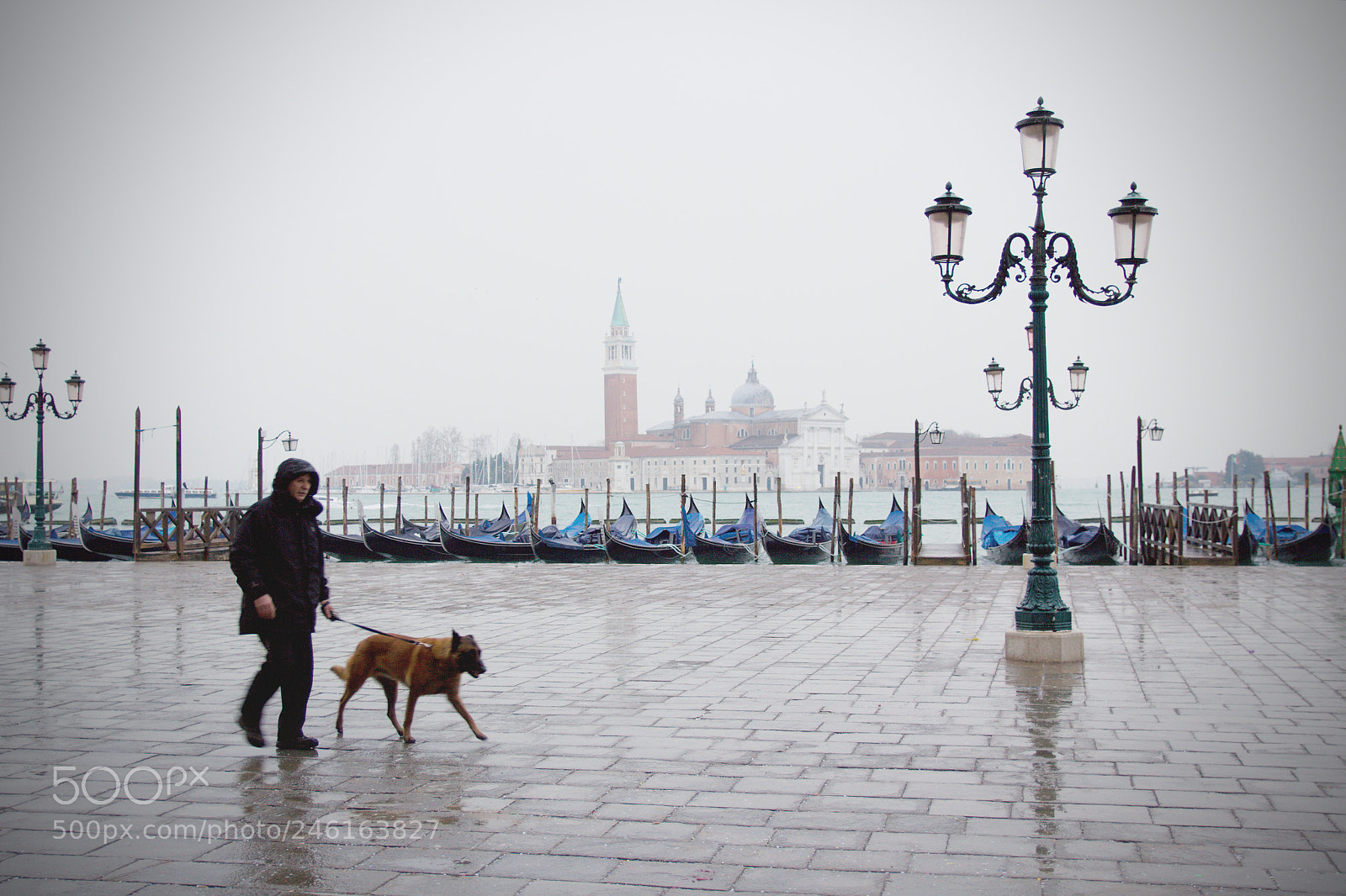 Canon EOS 60D sample photo. Rainy morning in venice photography