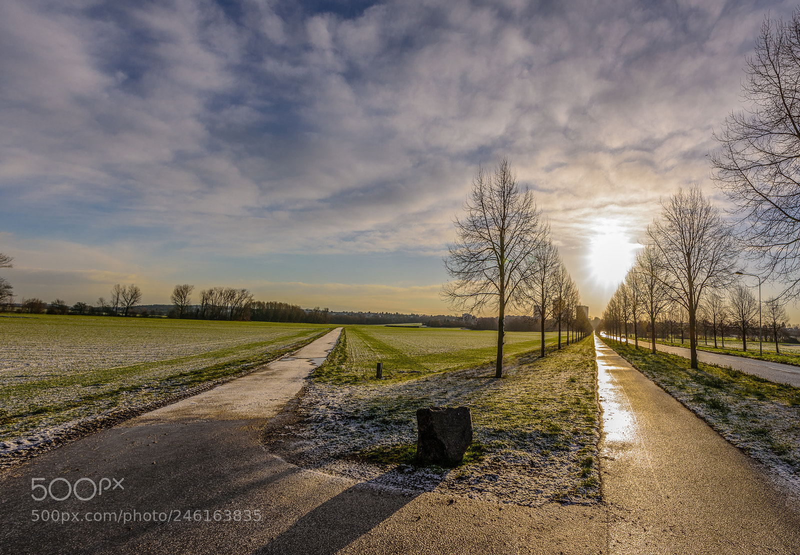 Nikon D810 sample photo. Choices photography