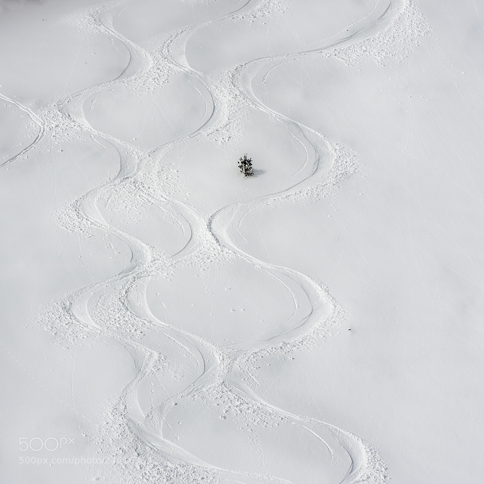 Nikon D810 sample photo. 1522. zig-zag. photography