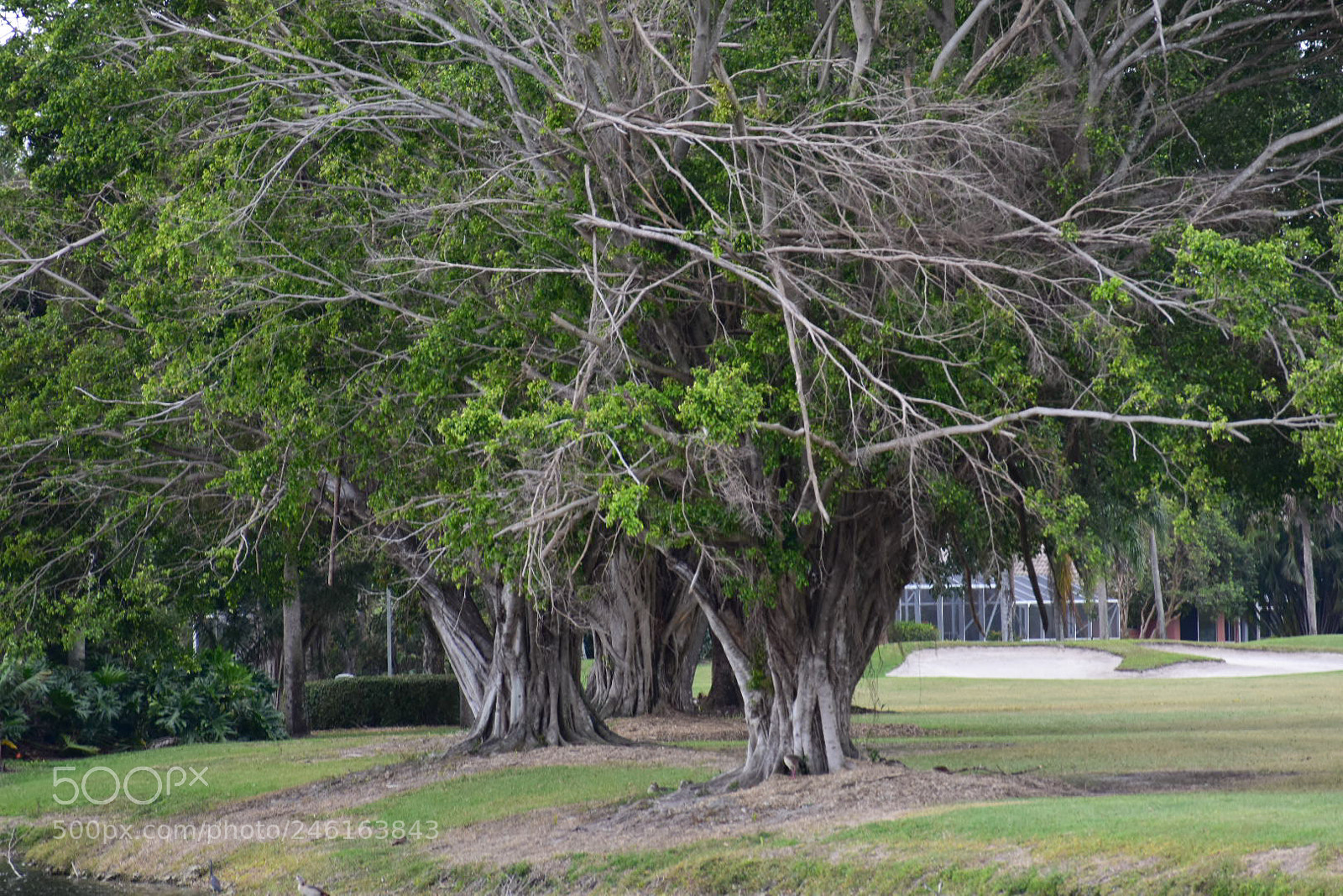 Nikon D3400 sample photo. Untitled photography
