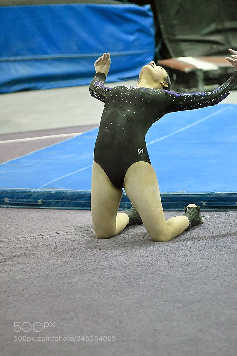 Nikon D500 sample photo. 2-8_1722.jpg photography