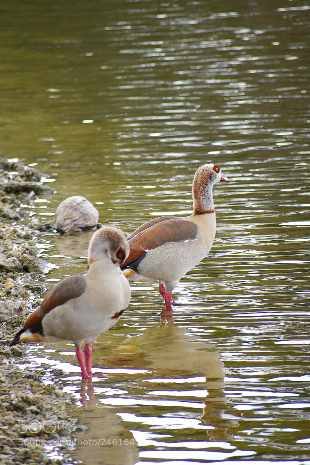 Nikon D3400 sample photo. Untitled photography