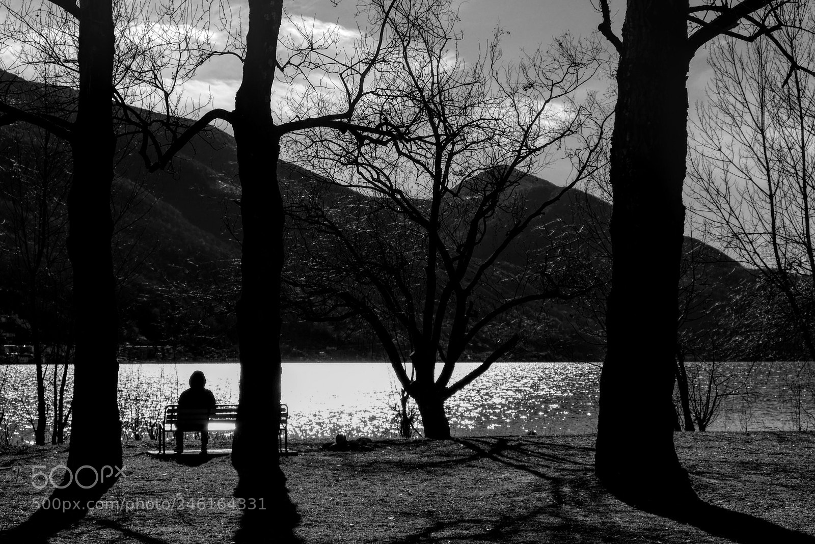 Fujifilm X-T2 sample photo. Untitled photography