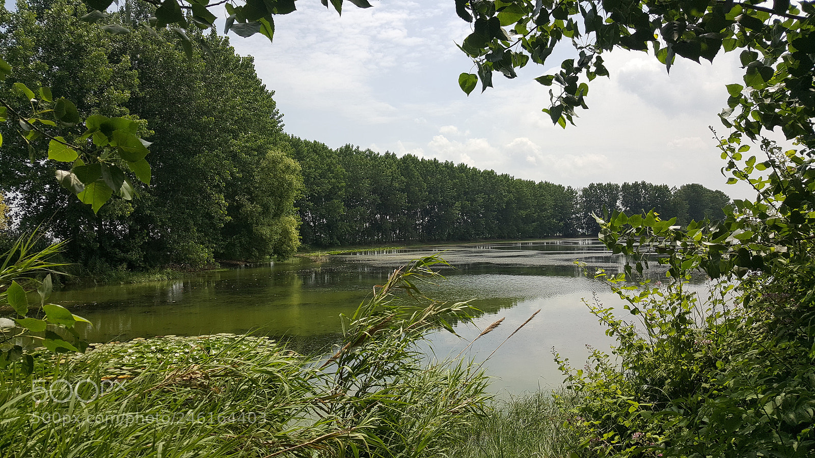Samsung Galaxy Note5 sample photo. Pond photography