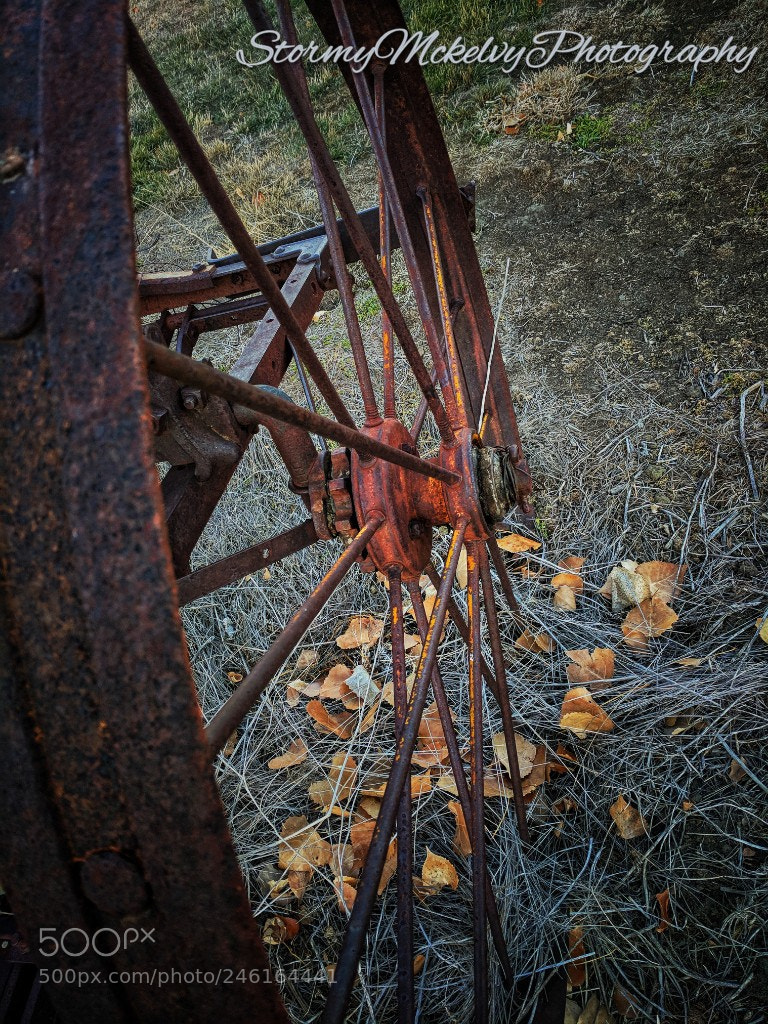 Google Pixel sample photo. Untitled photography