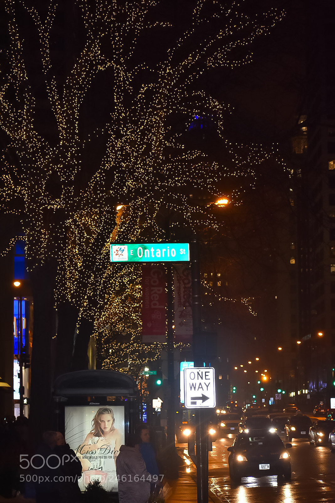 Nikon D3400 sample photo. Untitled photography