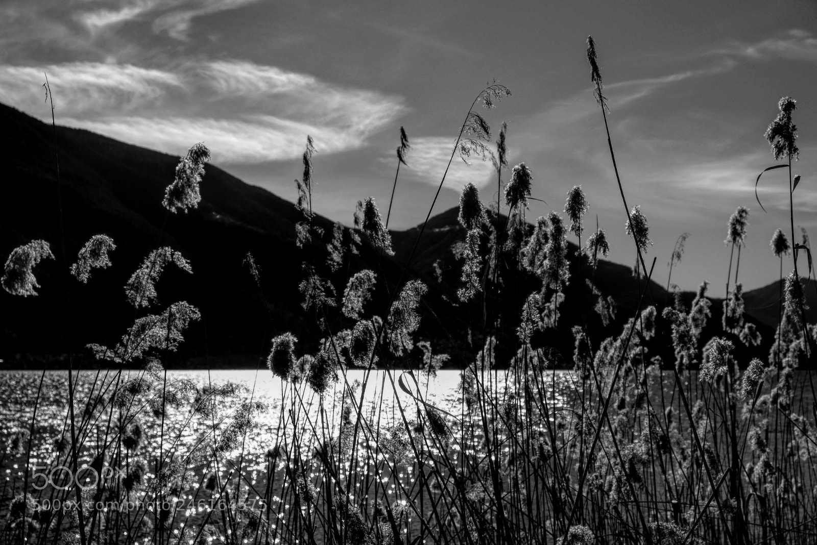 Fujifilm X-T2 sample photo. Untitled photography
