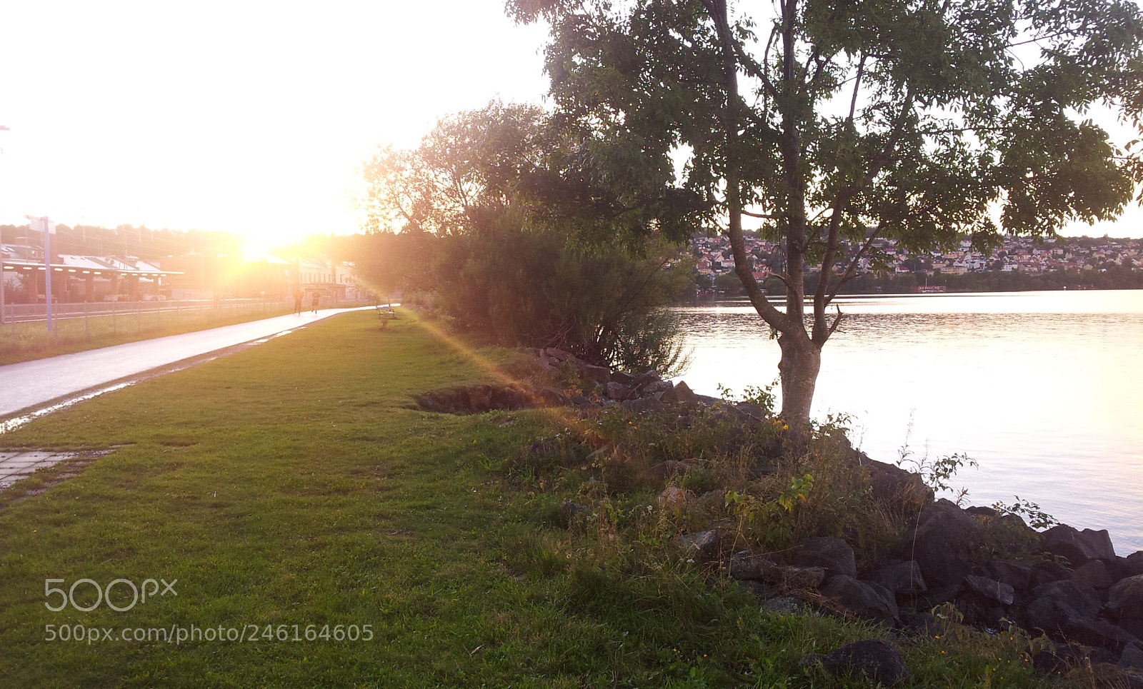 Samsung Galaxy S2 sample photo. Nature photography
