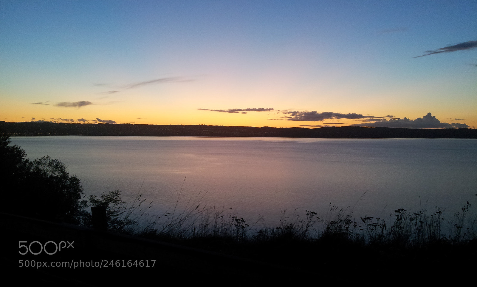 Samsung Galaxy S2 sample photo. Nature photography