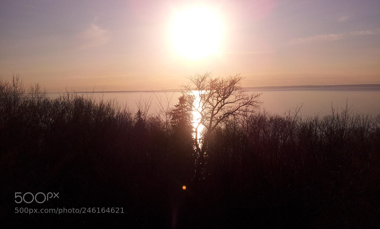 Samsung Galaxy S2 sample photo. Nature photography