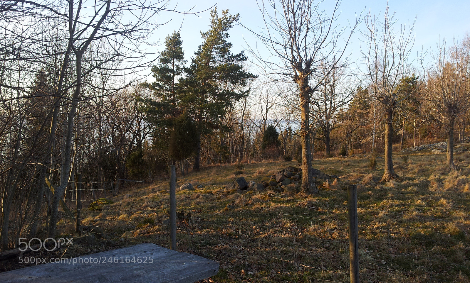 Samsung Galaxy S2 sample photo. 09.jpg photography