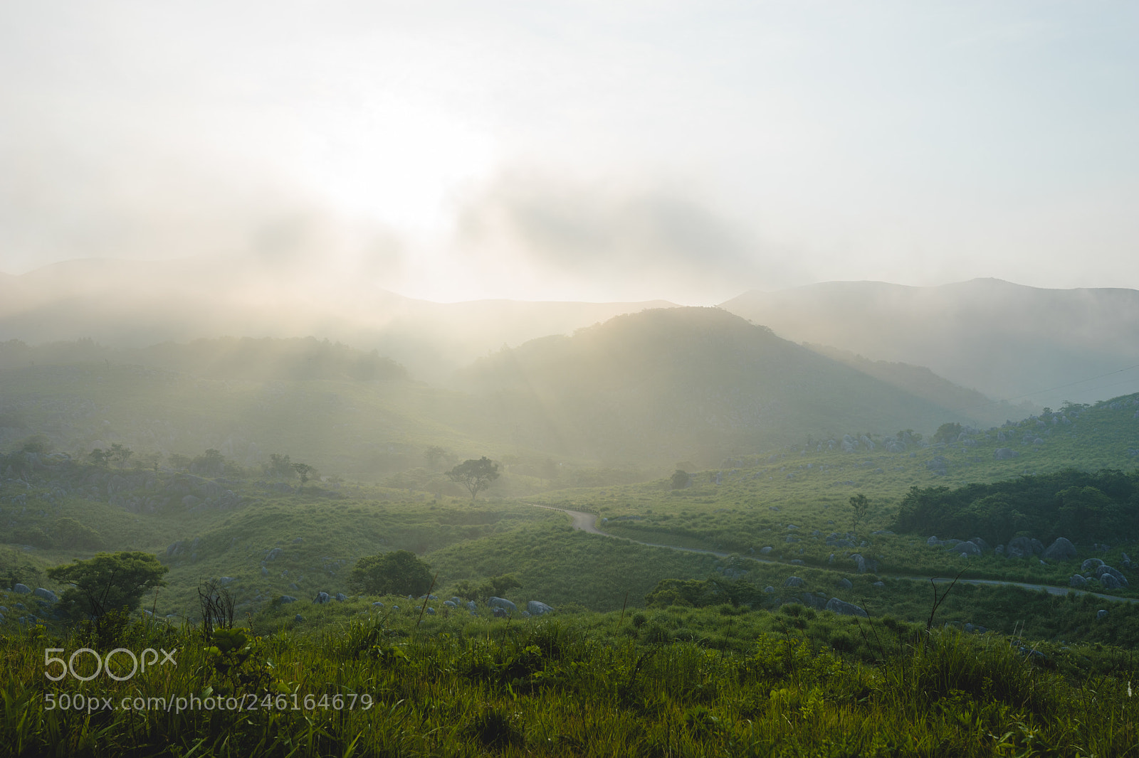 Sony a7 II sample photo. Unknown japan photography