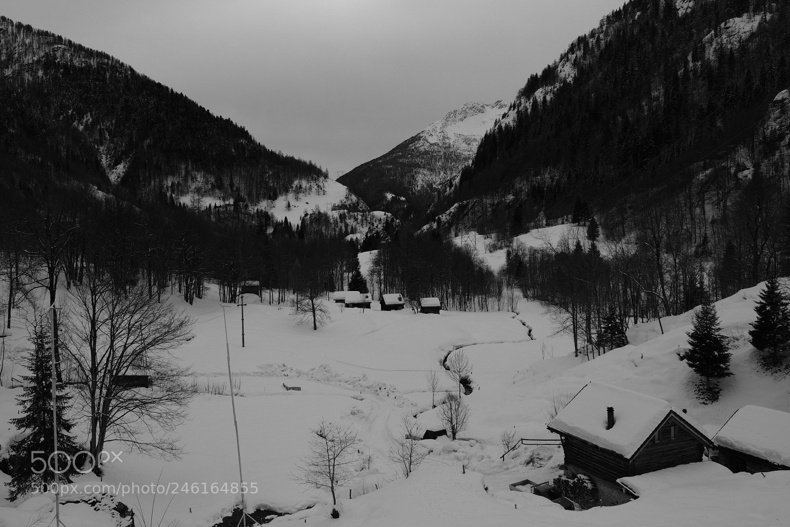 Fujifilm X-T2 sample photo. Untitled photography