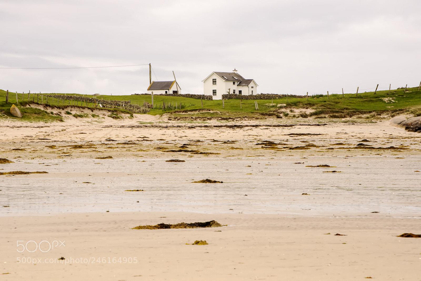 Nikon D600 sample photo. Coastal pair (1) photography