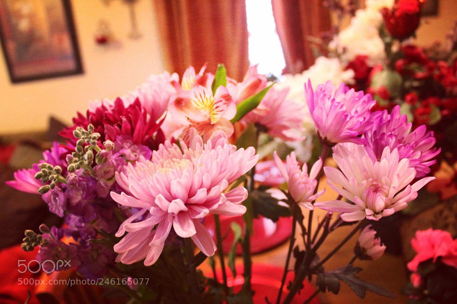 Canon EOS 1300D (EOS Rebel T6 / EOS Kiss X80) sample photo. Beautiful flowers! photography