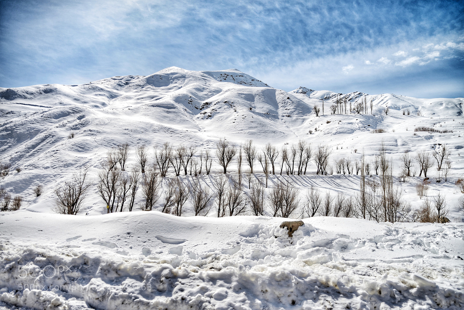 Nikon D610 sample photo. Winter beauty photography