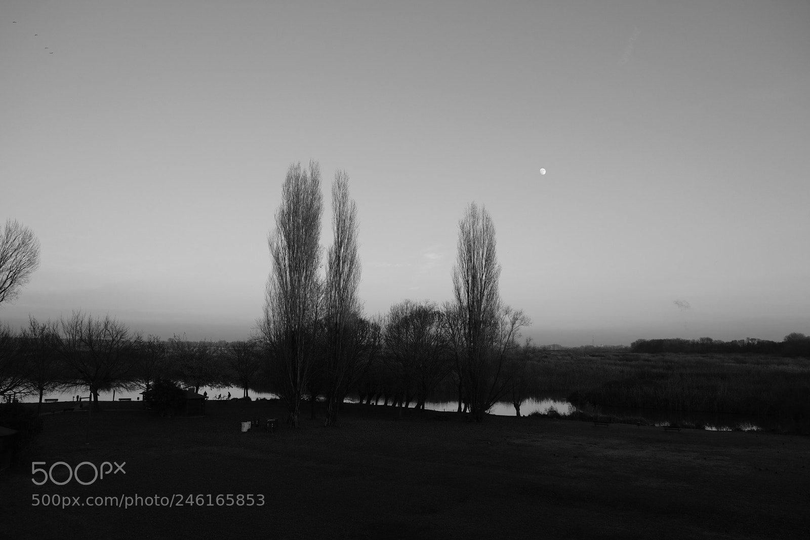 Fujifilm X-T2 sample photo. Untitled photography