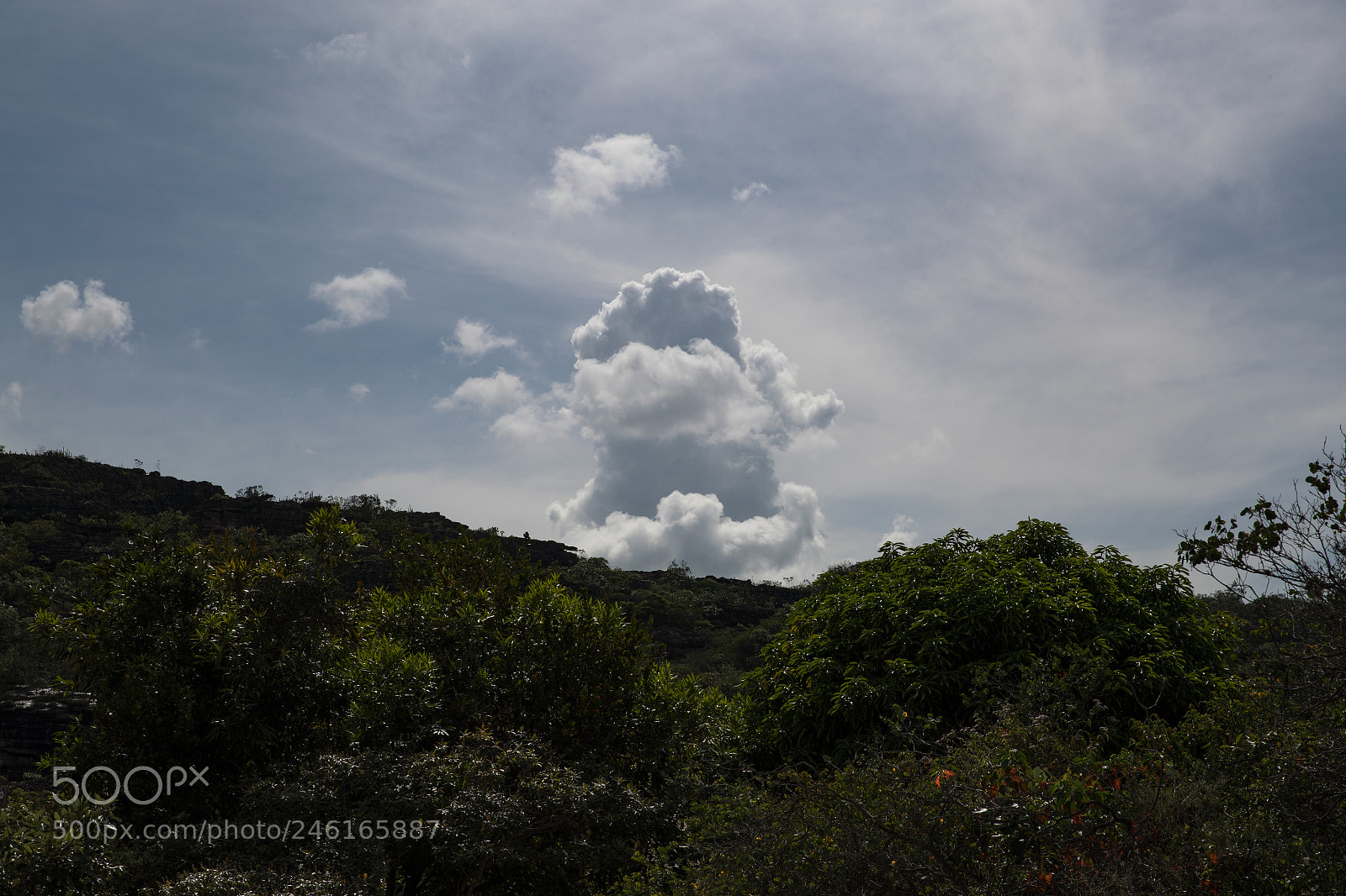 Canon EOS-1D X Mark II sample photo. Igatu , bahia - brasil photography