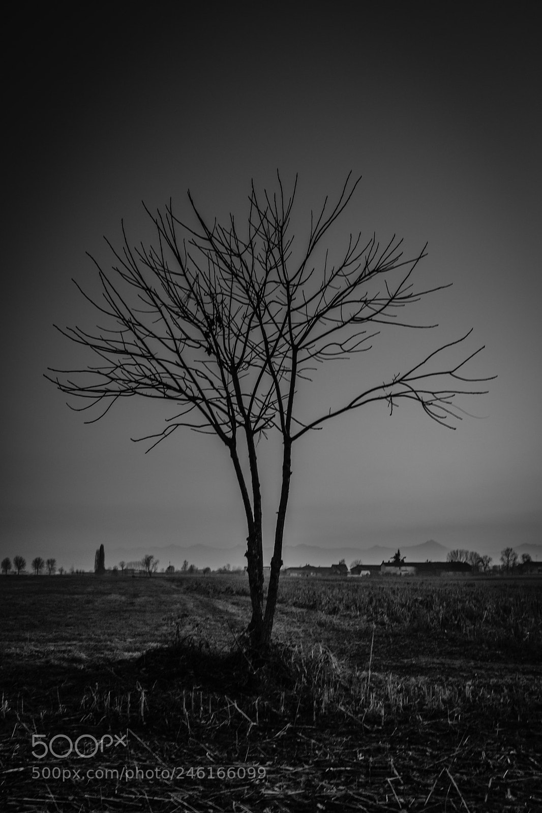 Fujifilm X100F sample photo. Naked photography