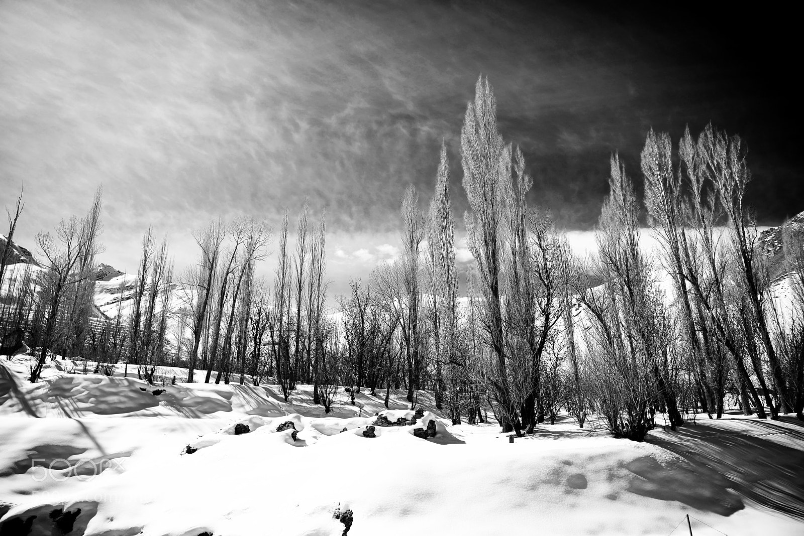 Nikon D610 sample photo. Snow photography