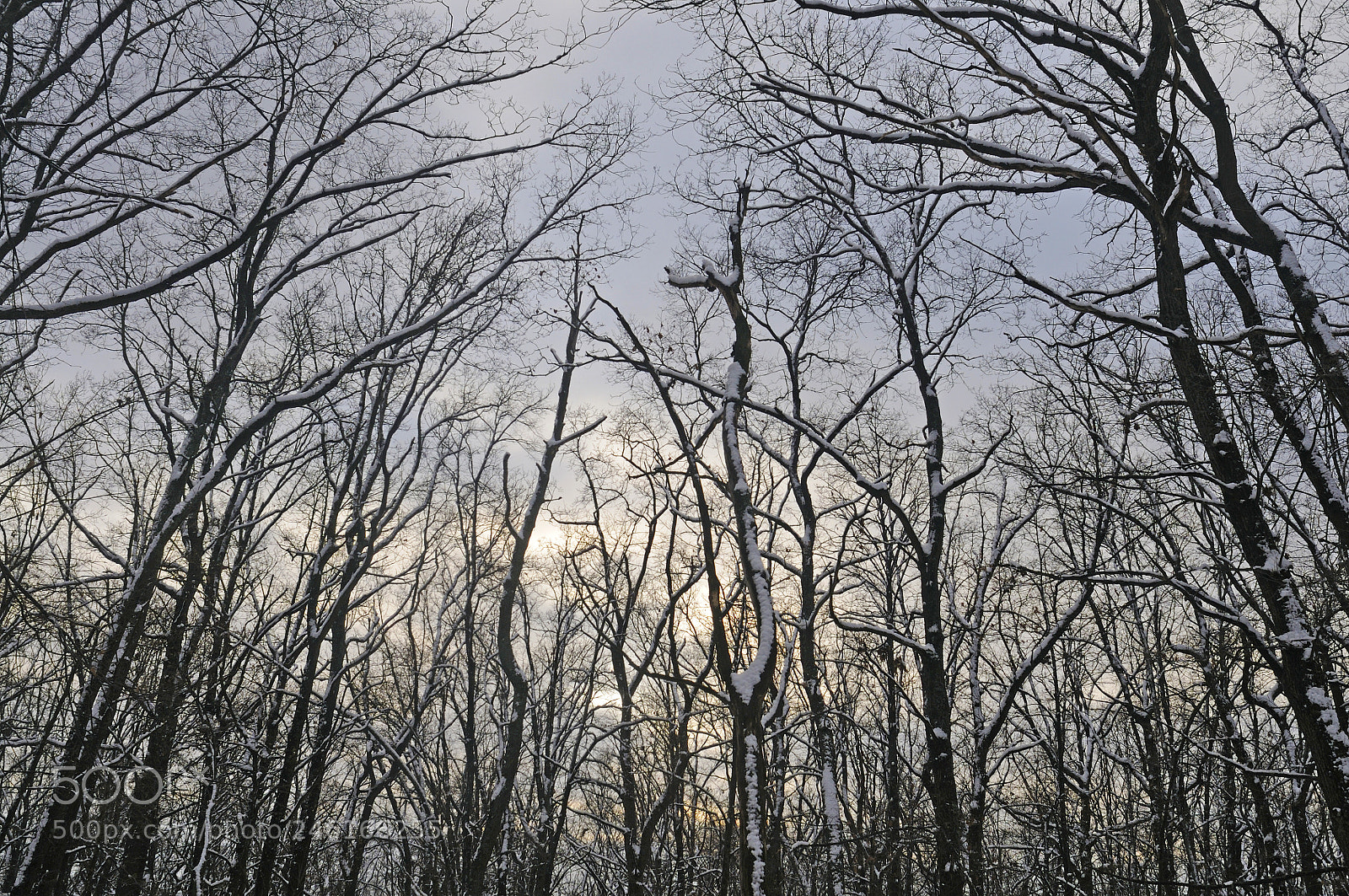 Nikon D300S sample photo. Winter evening photography