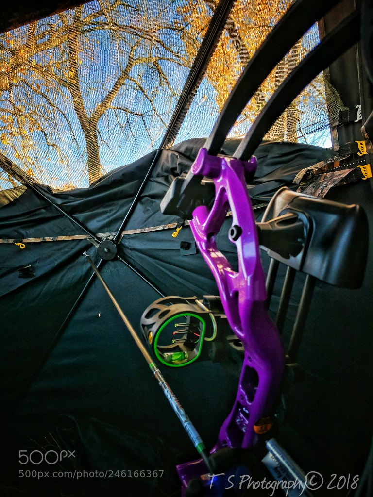 Google Pixel sample photo. Untitled photography
