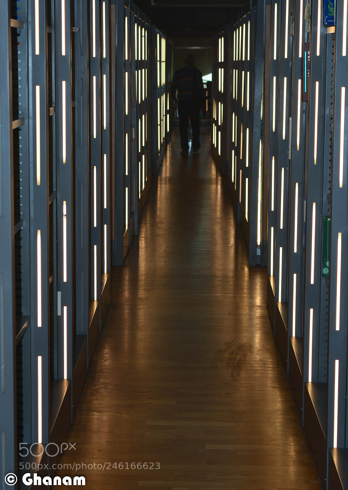 Nikon D5200 sample photo. Inside the library photography